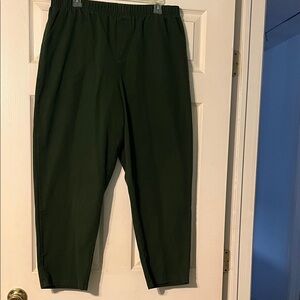 White Stag Pull On Petite Pants. Size 16 Petite. Dark Green. No wear.